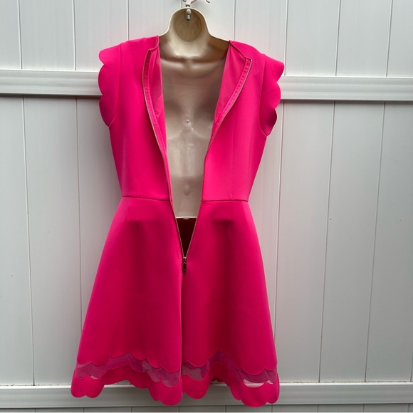 Ted Baker Sharlot Fit & Flare Pink Cap Sleeve Mesh Panel Dress | Size Medium - Picture 12 of 16